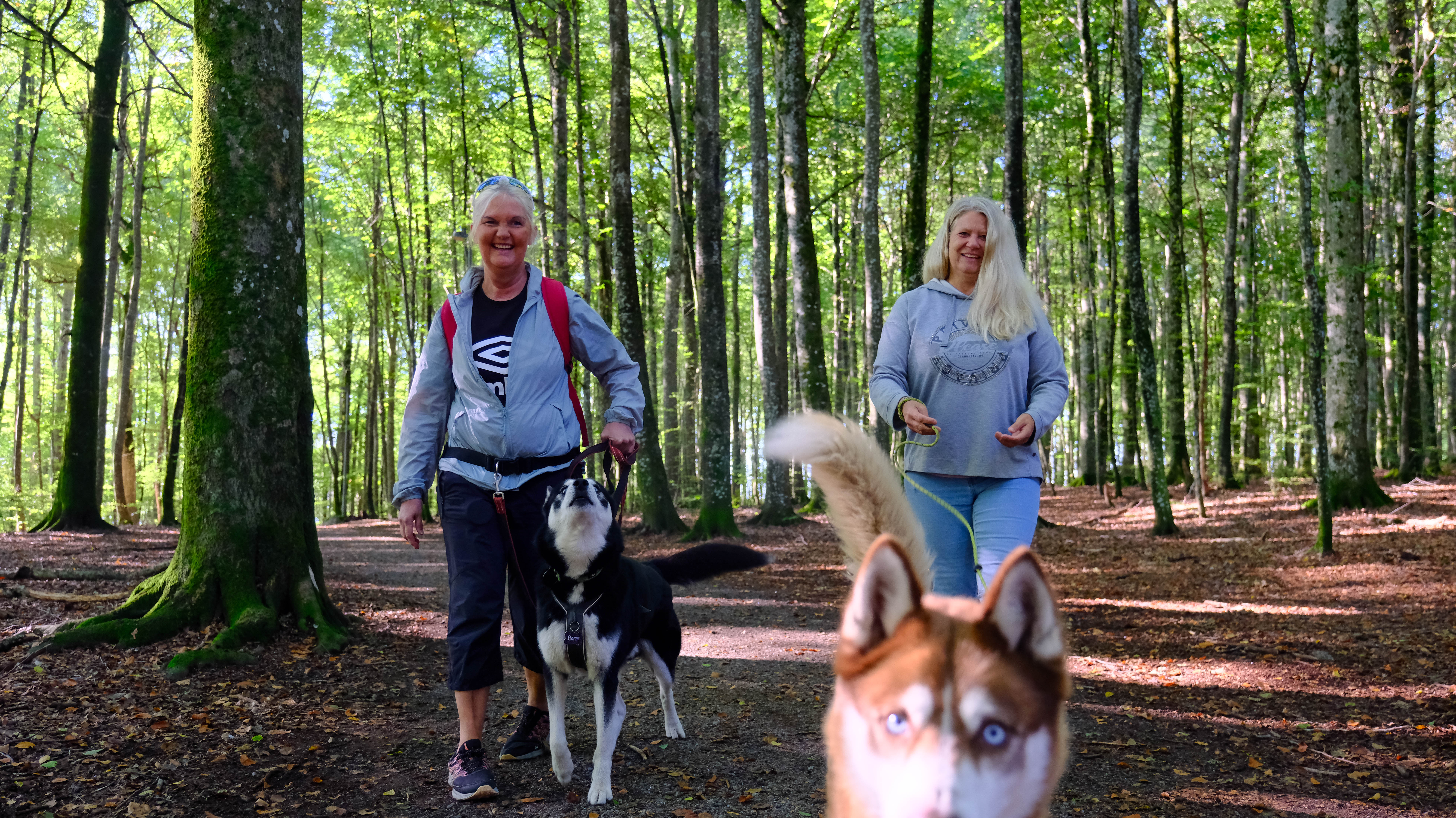 Bøkeskogen Larvik Leverer Dag 2 10