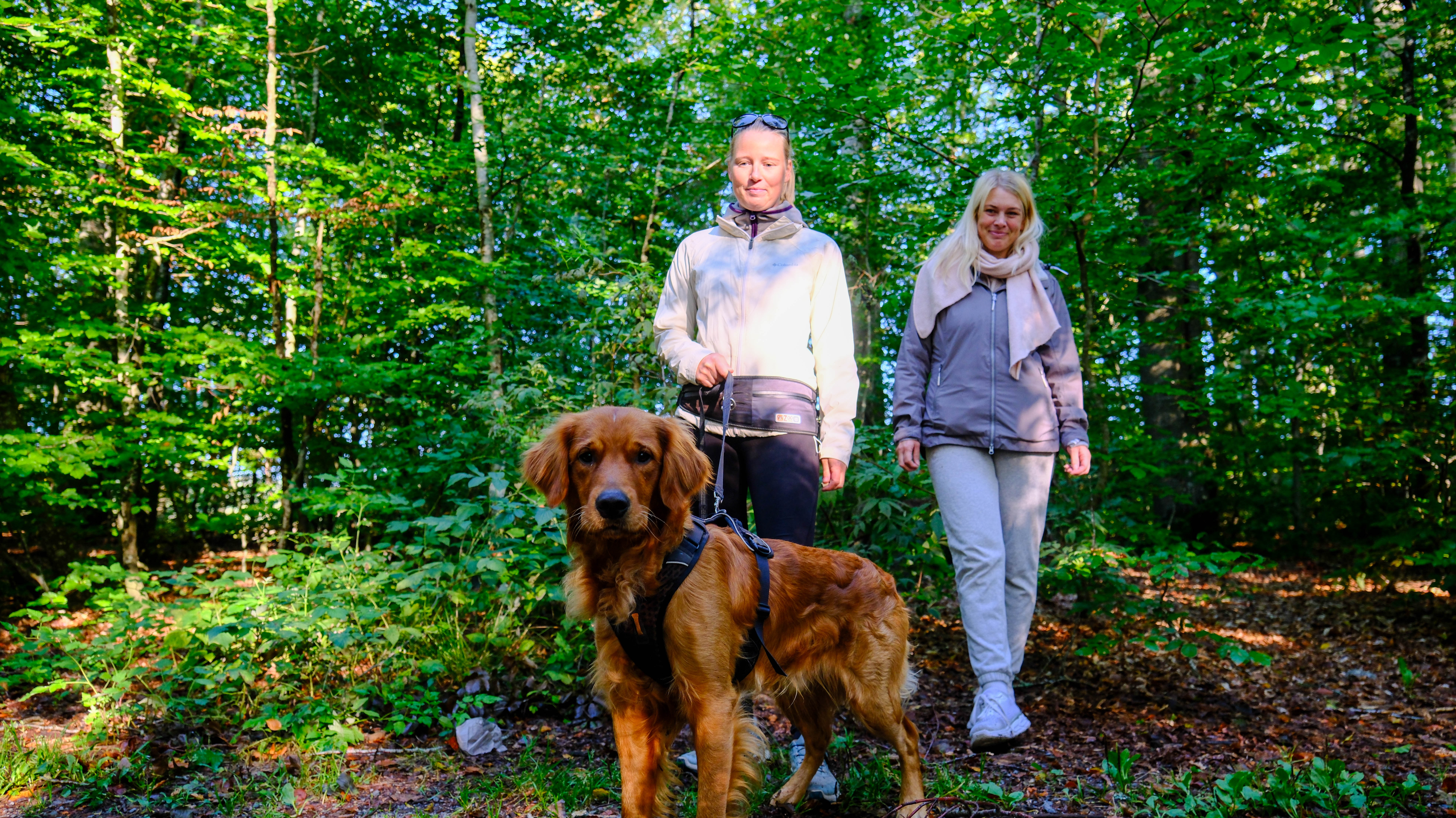 Bøkeskogen Larvik Leverer Dag 2 5