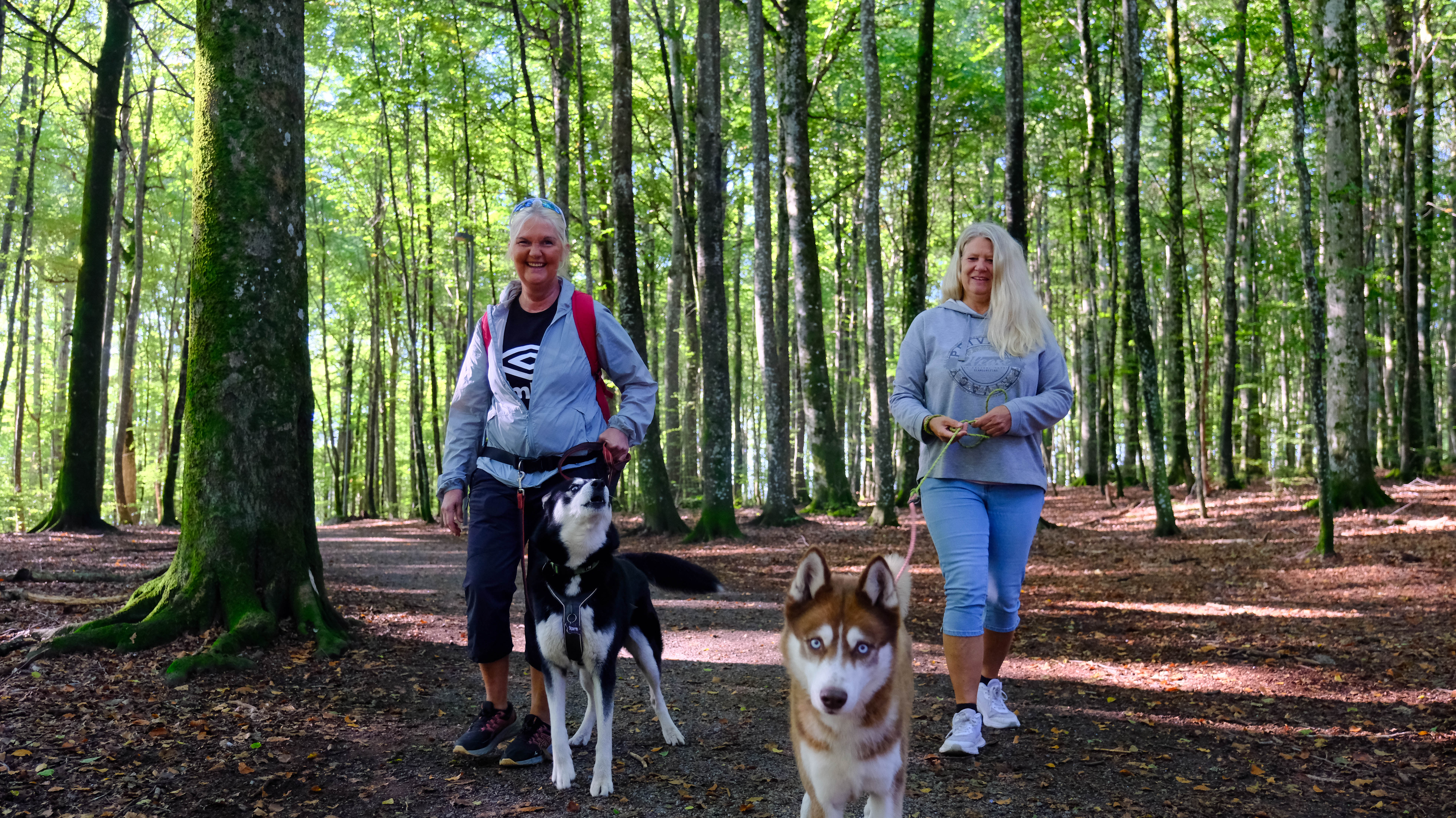 Derfor elsker vi Bøkeskogen